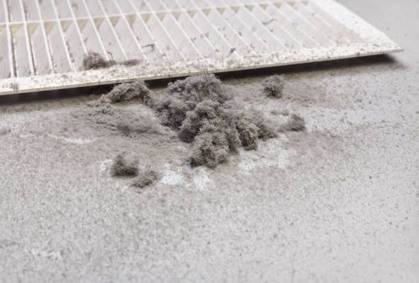 Best Ductwork Cleaning Services  in Sidney, IL