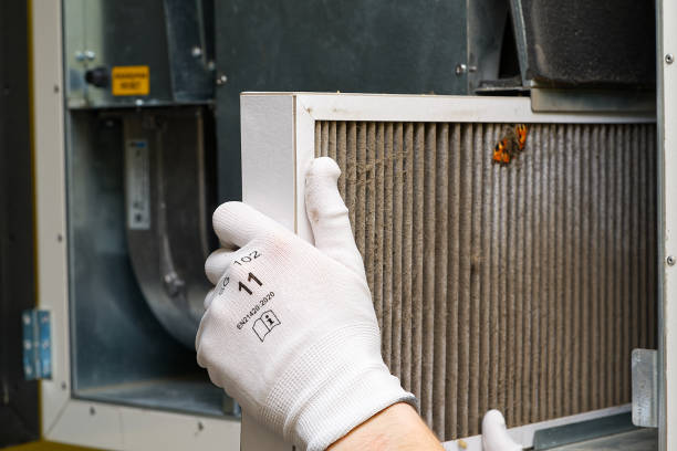 Best Affordable Duct Cleaning Services  in Sidney, IL