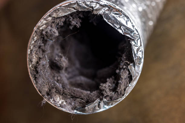 Best Affordable Duct Cleaning Services  in Sidney, IL