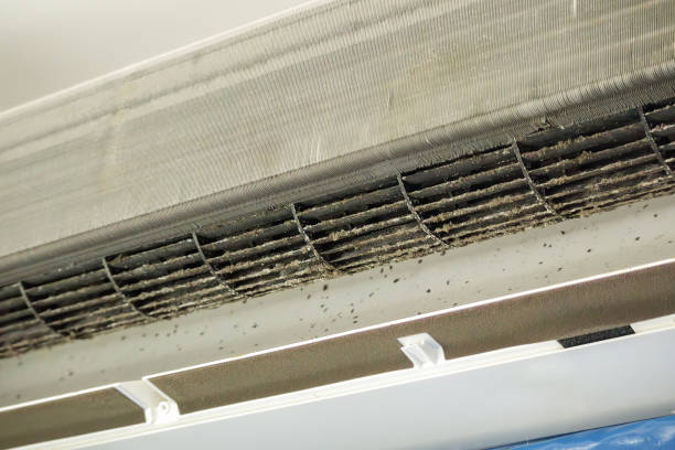 Best HVAC Air Duct Cleaning  in Sidney, IL