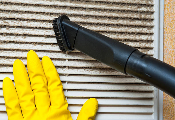 Best Residential Air Duct Cleaning  in Sidney, IL